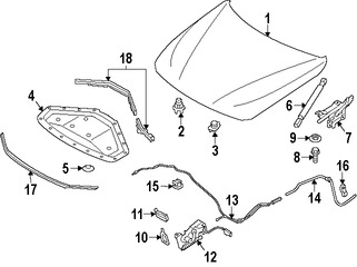 Foto de Aislamiento del capo Original para BMW Marca BMW Nmero de Parte 51487221993