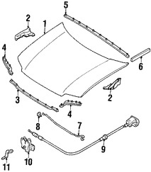 Foto de Panel de Cap Original para Mercury Mariner Ford Escape Marca FORD Nmero de Parte 5L8Z16612AA