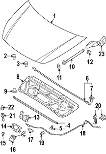 Foto de Soporte de Elevacin Puerta Trasera Original para Kia Sedona Hyundai Entourage Marca HYUNDAI Nmero de Parte 811614D000DS