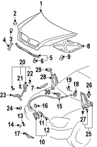 Foto de Sello del capo Original para Lexus RX330 Lexus RX350 Lexus RX400h Marca LEXUS Nmero de Parte 533880E010