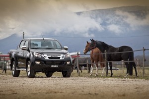 Isuzu D-Max, nueva importadora y nuevo modelo