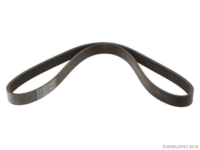 Foto de Correa de transmisi�n accesoria para BMW Marca Contitech N�mero de Parte W0133-1926033