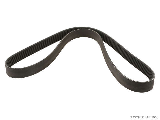 Foto de Correa de transmisi�n accesoria para BMW Marca Contitech N�mero de Parte W0133-1935589