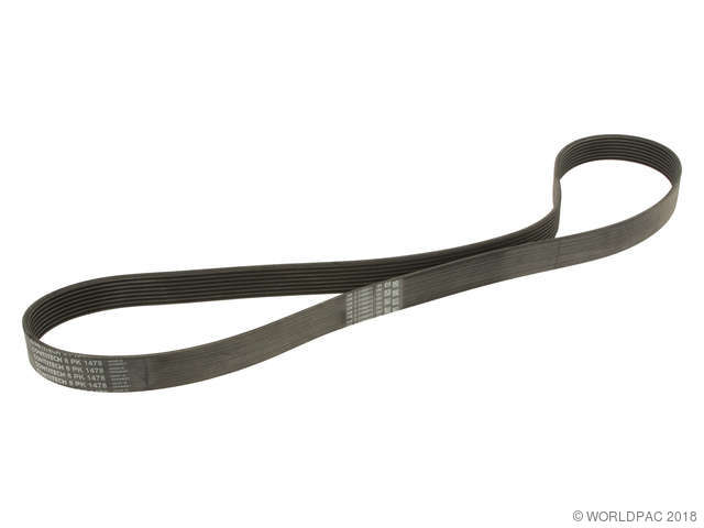 Foto de Correa de transmisi�n accesoria para BMW Marca Contitech N�mero de Parte W0133-1953153