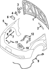 Foto de Panel de Cap� Original para Ford Focus 2008 2009 2010 2011 Marca FORD N�mero de Parte 8S4Z16612A