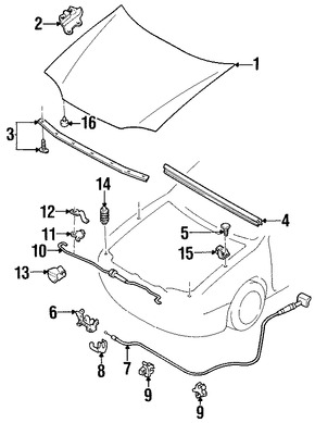 Foto de Panel de Cap� Original para Ford Escort 1999 2000 1998 2001 2002 2003 Marca FORD N�mero de Parte F8CZ16612AA