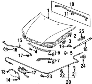 Foto de Clip del sello del capo Original para Honda Civic Honda Accord Honda Odyssey Honda Element Honda Civic del Sol Marca HONDA Nmero de Parte 91520SM4C01