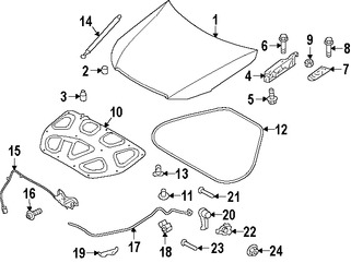 Foto de Soporte de Elevacin Puerta Trasera Original para Hyundai Genesis 2015 2016 Marca HYUNDAI Nmero de Parte 81161B1000