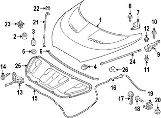 Foto de Soporte de Elevacin Puerta Trasera Original para Hyundai Veloster 2014 2015 Marca HYUNDAI Nmero de Parte 811612V000