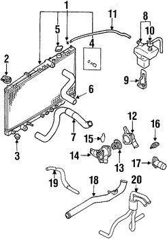 Foto de Manguera de Tanque Recuperacin de Refrigerante Original para Mitsubishi Chrysler Dodge Marca Mitsubishi Nmero de Parte MS600623