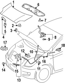 Foto de Panel de Cap� Original para Toyota Yaris 2007 2008 2009 2010 2011 Marca TOYOTA N�mero de Parte 5330152251