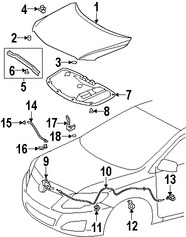 Foto de Panel de Cap� Original para Toyota Corolla 2009 2010 2011 2012 2013 Marca TOYOTA N�mero de Parte 5330112A80