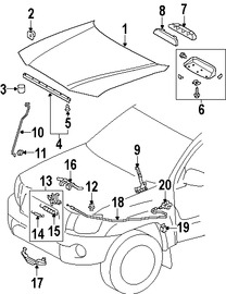 Foto de Panel de Cap� Original para Toyota Tacoma Marca TOYOTA N�mero de Parte 5330104120