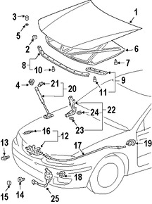 Foto de Cable Abre Capo Original para Toyota Solara Toyota Camry Marca TOYOTA N�mero de Parte 5363006030